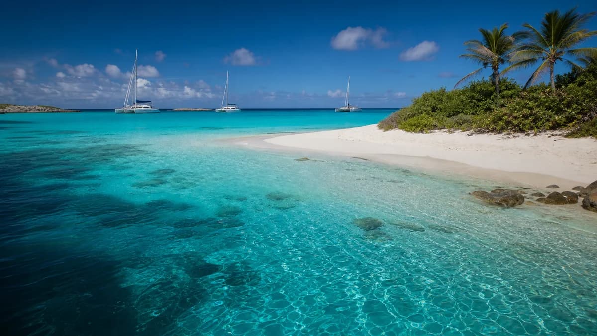 Catamaran cruising in clear water near an island